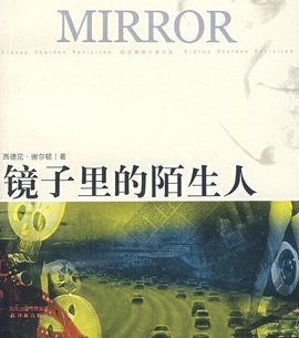 镜子里的陌生人